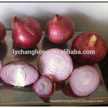 2014 fresh red onion with best price for sale